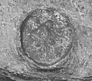 I-Think-This-Is-An-Ancient-Coin